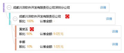 成都川洋軟件開發(fā)有限責(zé)任公司深圳分公司 深圳軟件開發(fā)領(lǐng)域的匠心筑夢(mèng)者